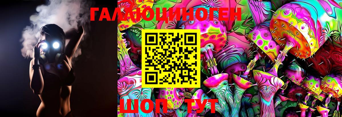 Псилоцибиновые грибы Cubensis Георгиевск