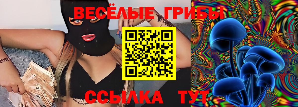 Псилоцибиновые грибы MAGIC MUSHROOMS  Георгиевск 