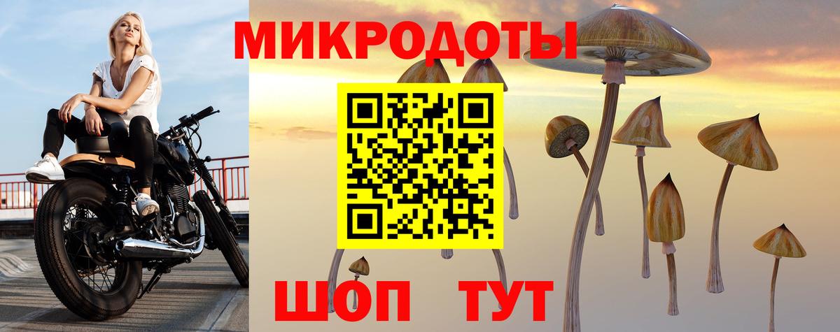 МЕФ Георгиевск